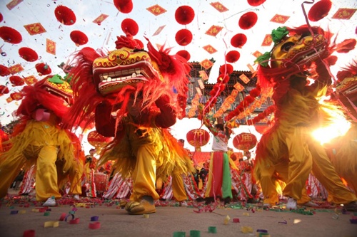 Thue lan su rong chuyen nghiep gia re 10